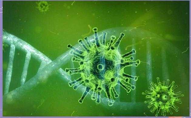 重庆新冠变异株无症状转确诊现象解析2020-2022年疫情观察