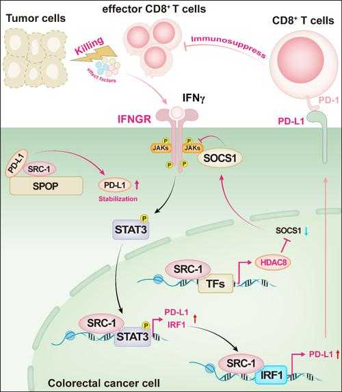 陕西免疫逃逸株疫情特征及防控策略