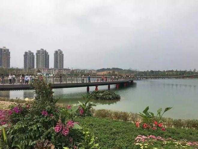 31省份多点散发，遵义新增5例为何成防控焦点？