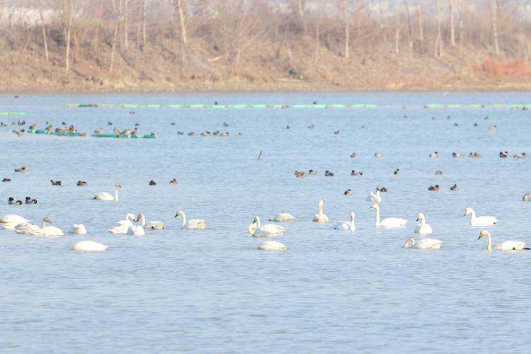 31省份多点散发，天门市10例为何成防控焦点？