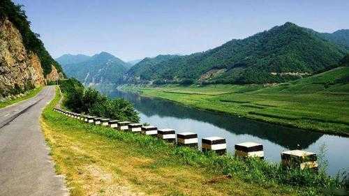 桦南县疫情突变：东北边境防线的24小时保卫战