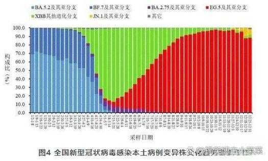 山东新冠疫情预警：岁末XBB变异株防控重点解析