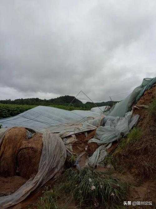 湖北随县零确诊的地理密码