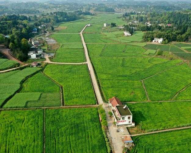 零感染的县域防线：乐至如何打破疫情包围圈？