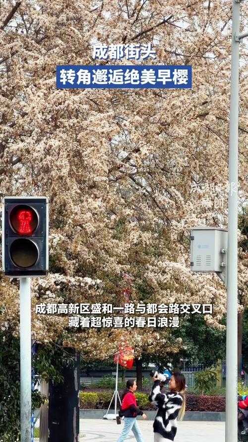 2020-2022年成都优势流行株防疫屏障构建与实践