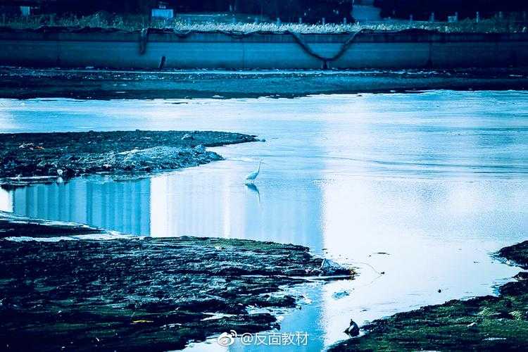 【汾河畔的防控警报：侯马市疫情为何牵动晋南神经？】