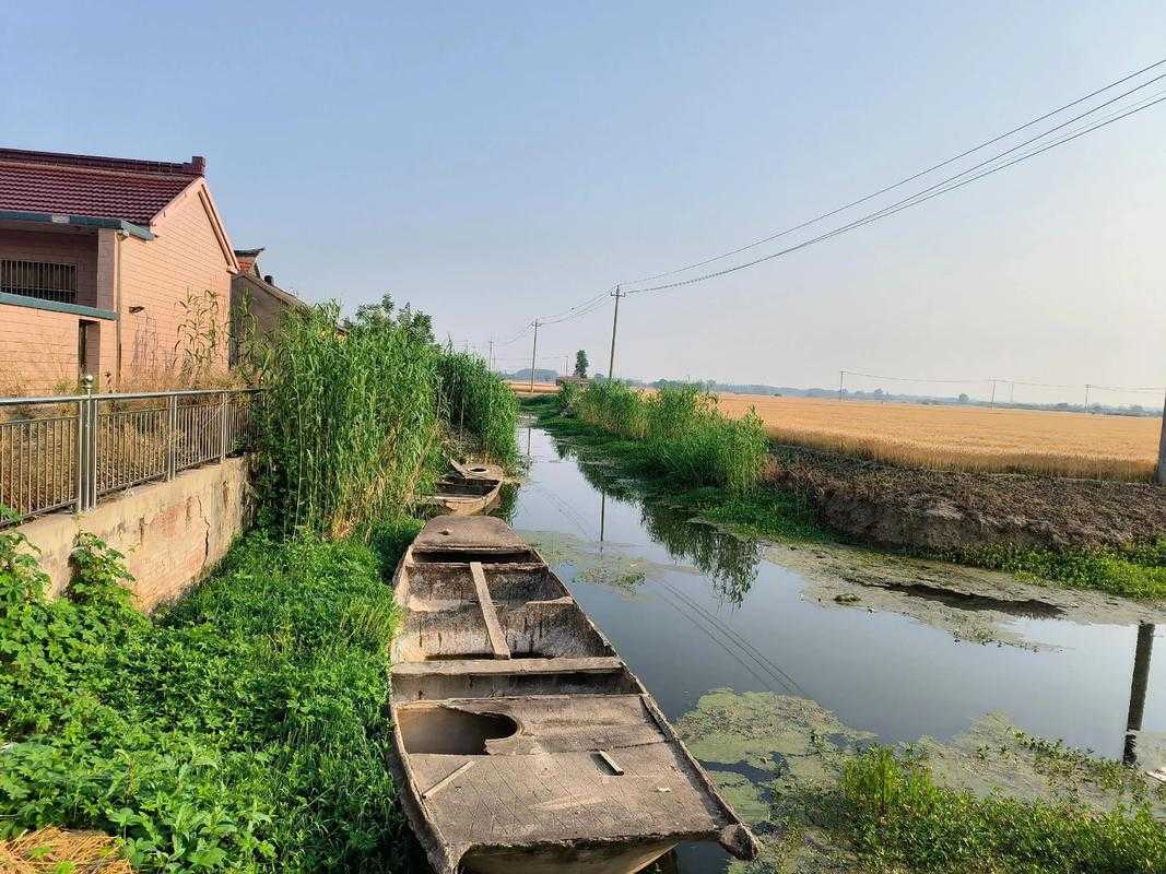 里下河平原上的坚守：兴化零新增背后的水乡防线