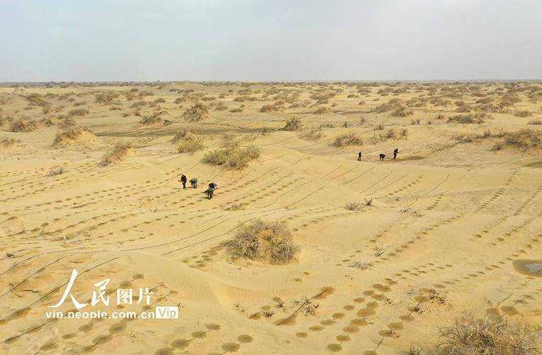 新疆腹地的防控样本:巴音郭楞如何筑起“生态屏障”?