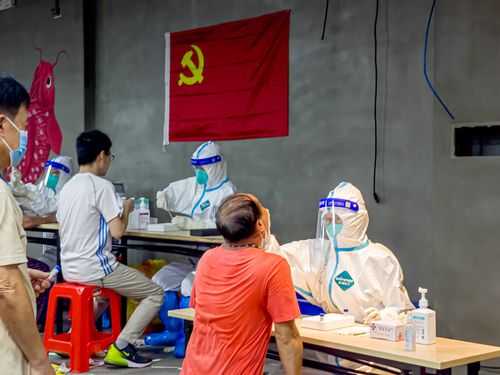 西秀区新增6例确诊病例，城市交通网络成防控关键