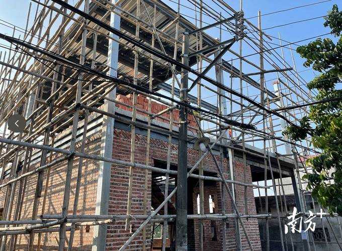 麻章区持续零新增背后:岭南水乡的防疫屏障