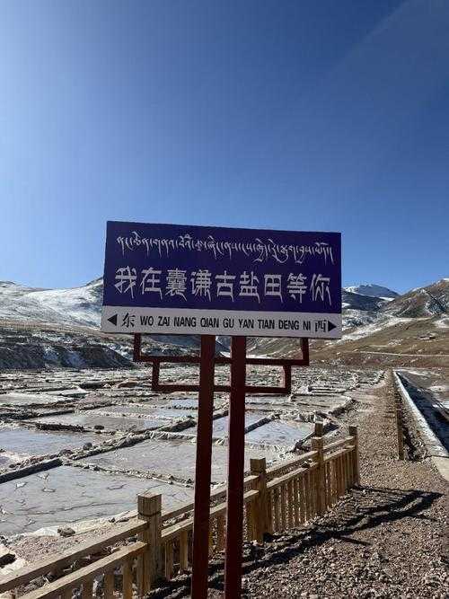 西藏高原屏障下的防疫奇迹：隆子县三年零新增的地理密码