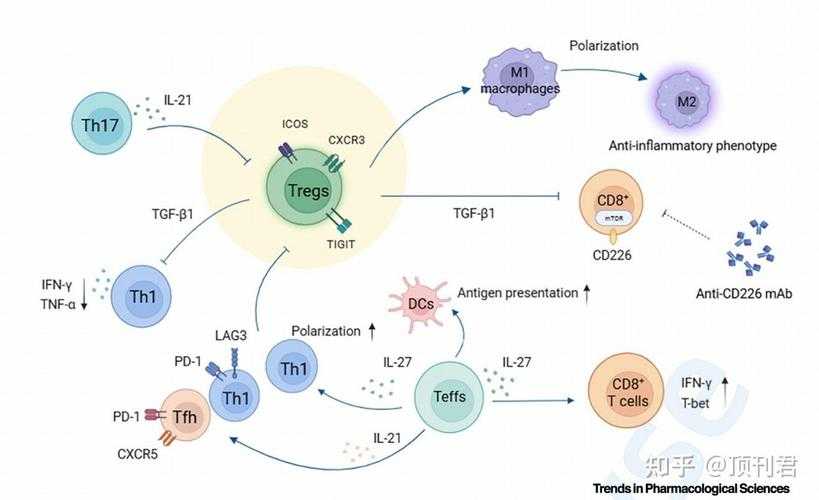 2020-2022新冠疫情分级诊疗与变异株防控策略解析