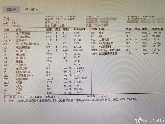 吉林船营区新增病例激增，区域防控面临三大挑战