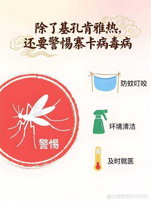 贵州提醒:岁末年初疫情防控变异毒株高发期防护指南