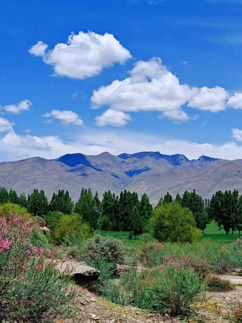 多地散发下的西藏洼地效应：山南市为何连续43日零新增