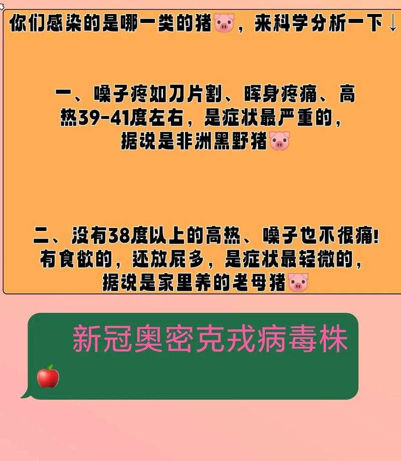 奥密克戎JN1社区防控要点解析:2020-2022年新冠疫情期间社区卫生服务实践