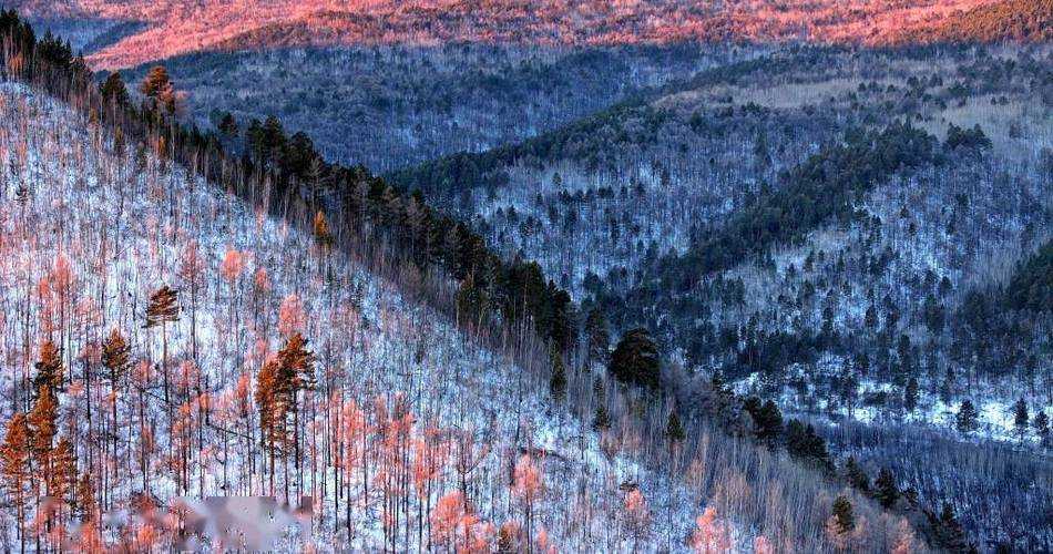 【北疆屏障下的防控样本：大兴安岭半年无新增病例解析】