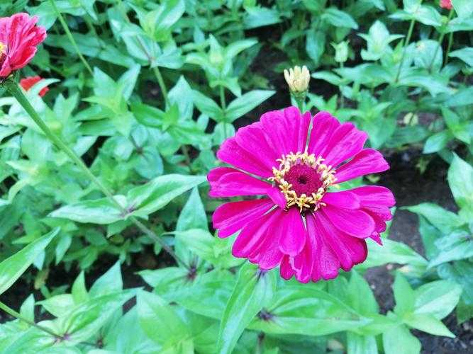 【豫西南疫情突袭：淅川县新增11例确诊背后的防控缺口】