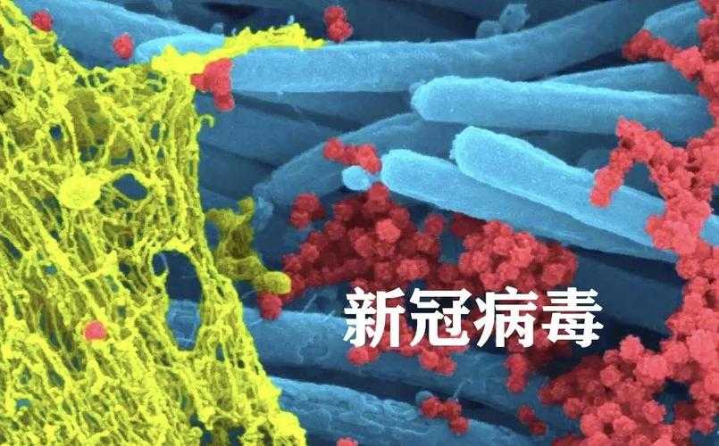 湖南呼吸道感染确诊人员激增与新冠疫情影响2020-2022年疫情期间