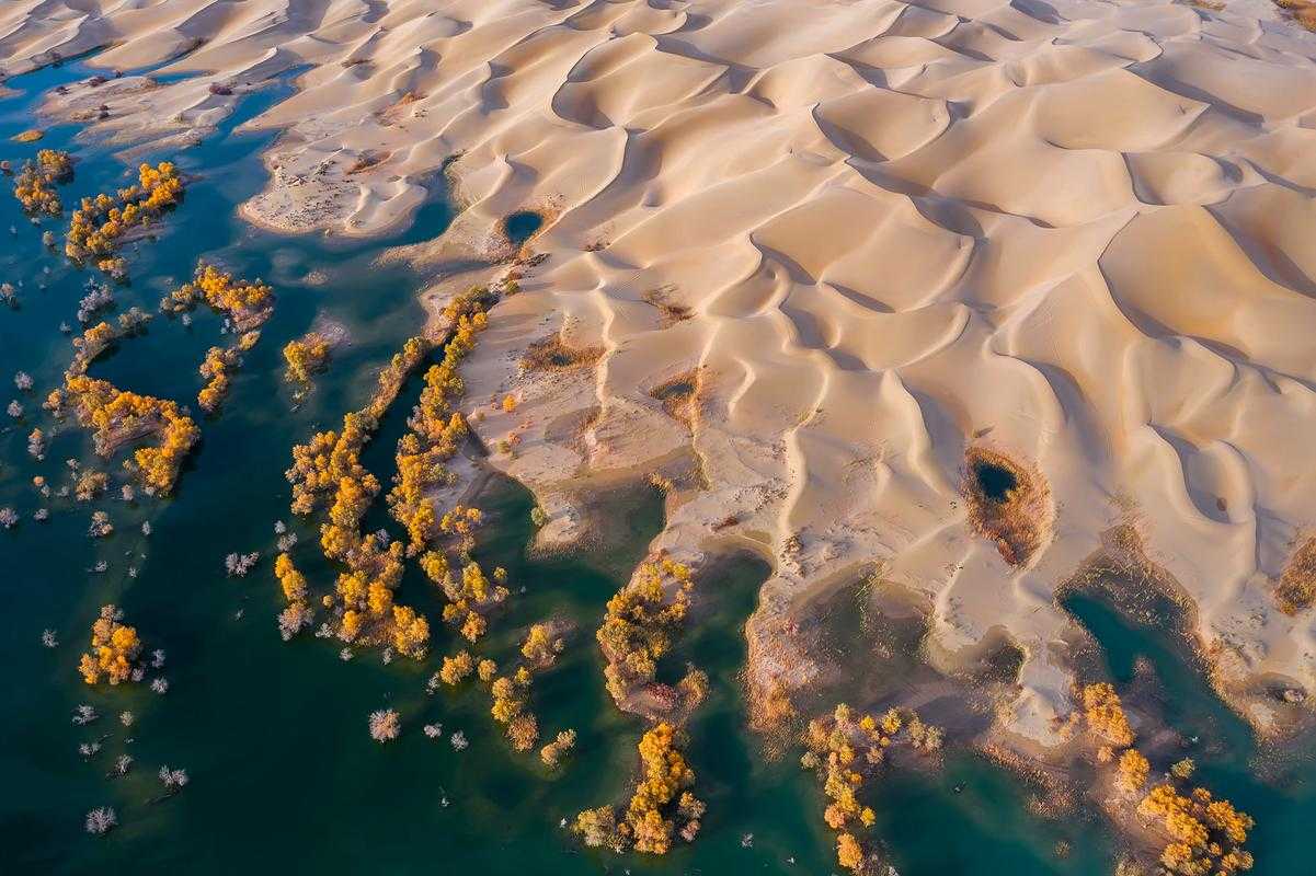 沙漠绿洲的防控战：阿拉善盟如何守卫32万人口防线？