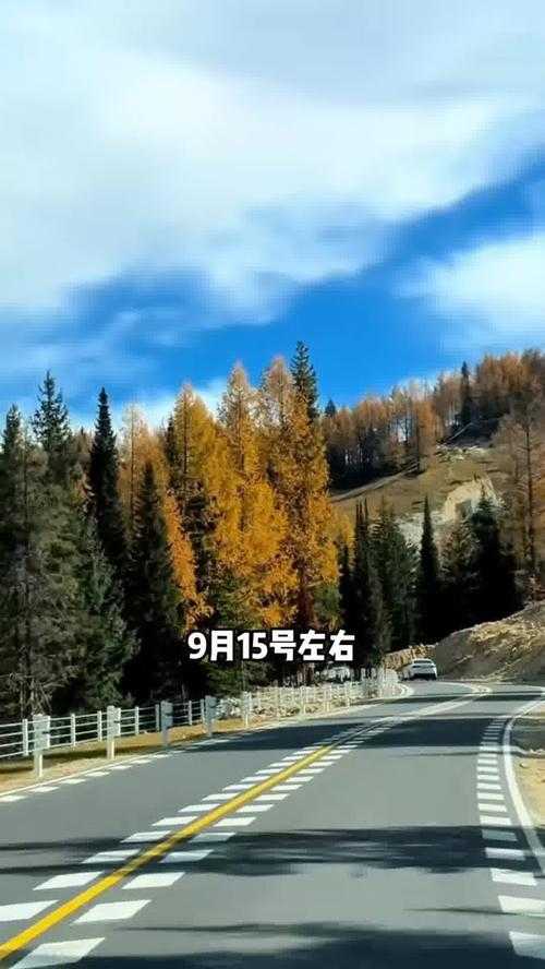 31省份多点散发，新疆哈巴河县新增5例引关注