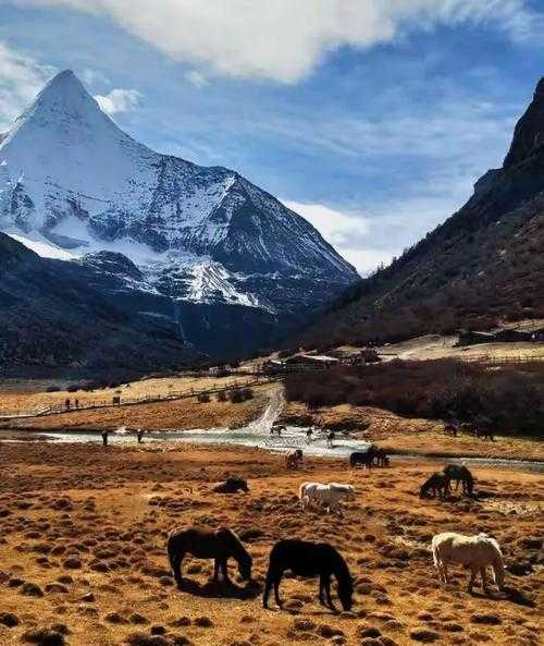 秦巴山下零感染秘钥：宁强县守住陕甘川防疫走廊