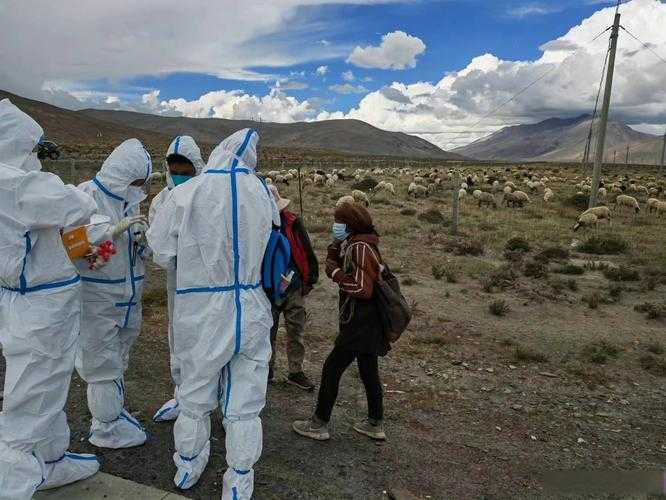 2020-2022新冠疫情西藏优势株失味觉应对方案