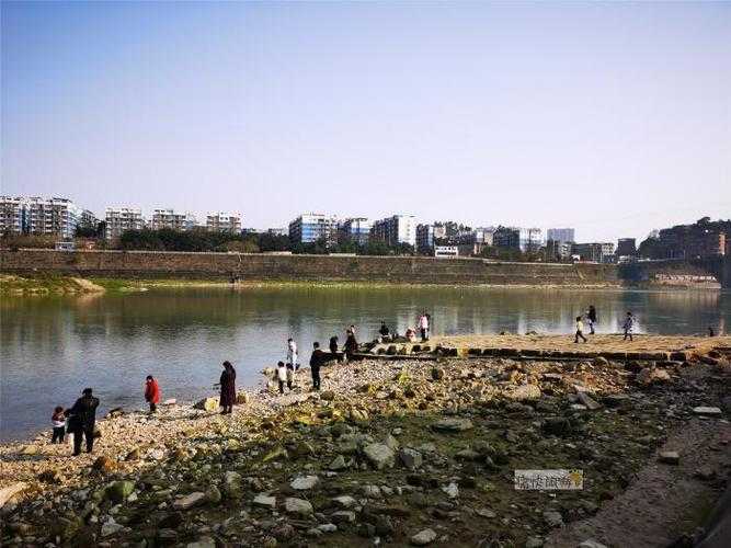 【川南小城的数字密码:富顺72例确诊背后的数据铁链】