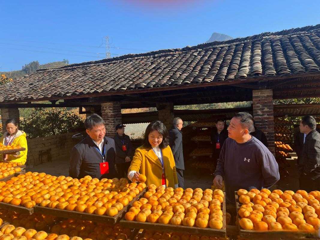 31省份多点散发，平乐县7例为何成防控焦点？