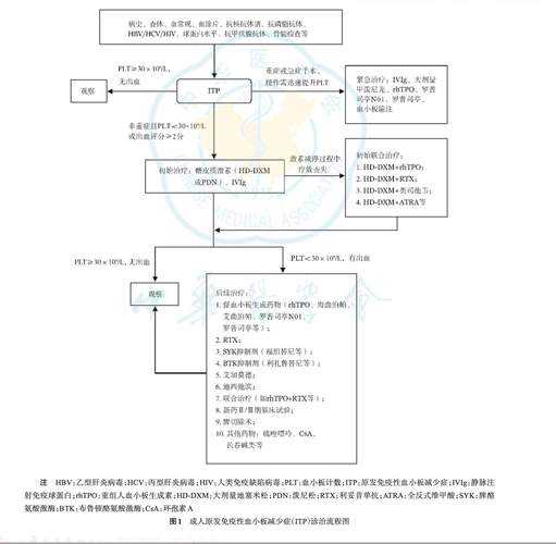 免疫逃逸株相关症状解析：复阳风险与深圳专家应对建议