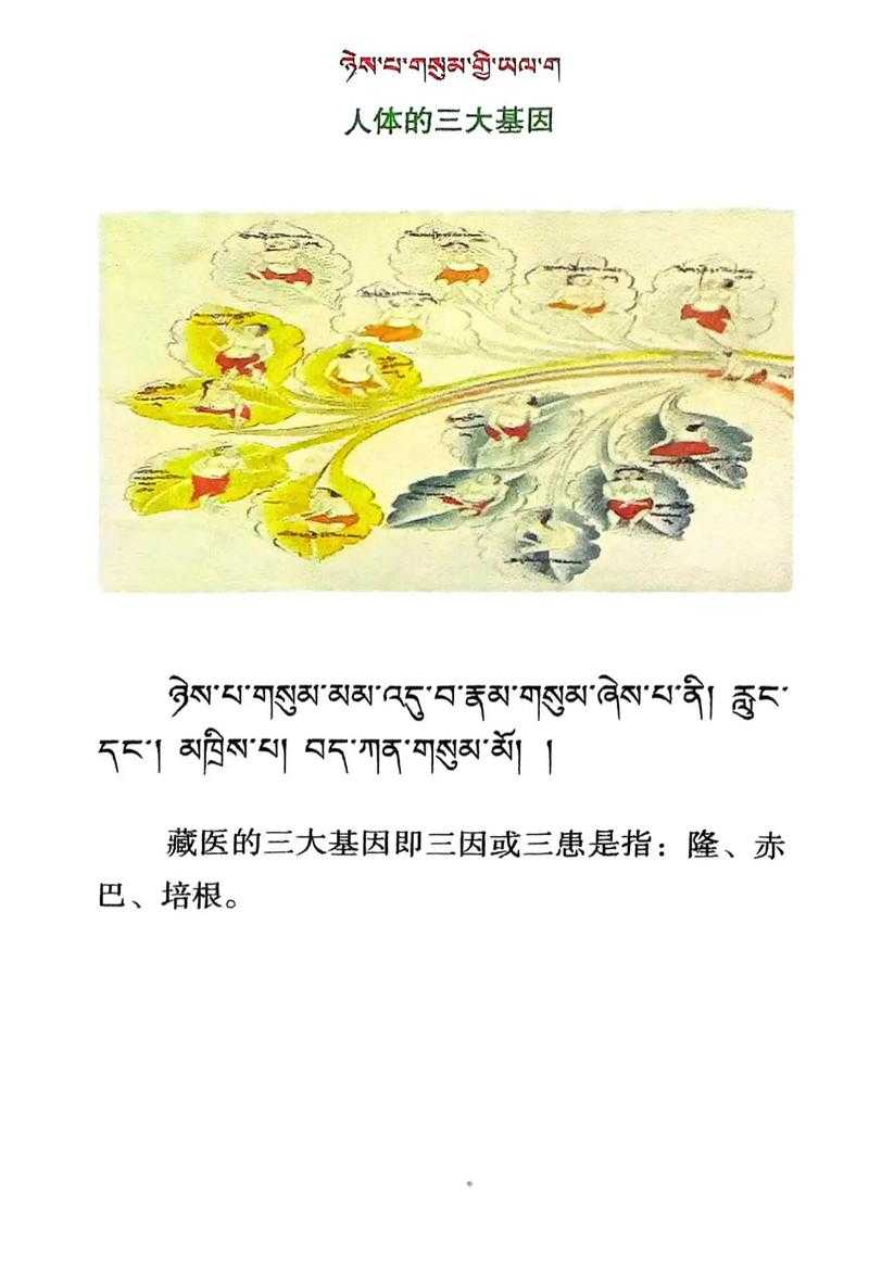 新冠疫情三年呼吸道重症防控：西藏地区关键经验