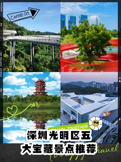 31省份多点散发，光明区1例引发流调重镇关注