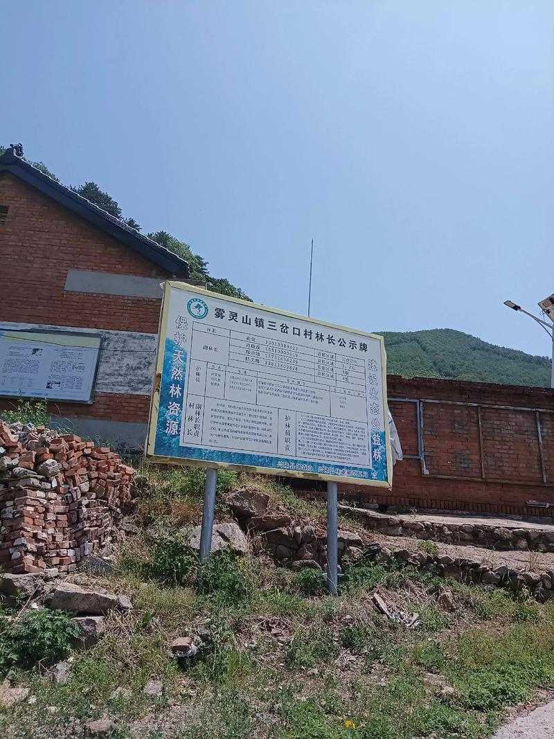 边境小城的防控裂痕：那坡县新增14例为何牵动西南疫情网络？