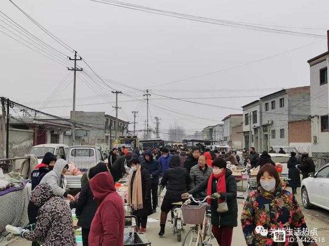 31省份多点散发，阜南县13例为何成防控焦点？