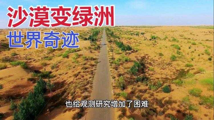 中原枢纽的防控暗流：偃师区新增7例为何牵动豫陕两省神经？
