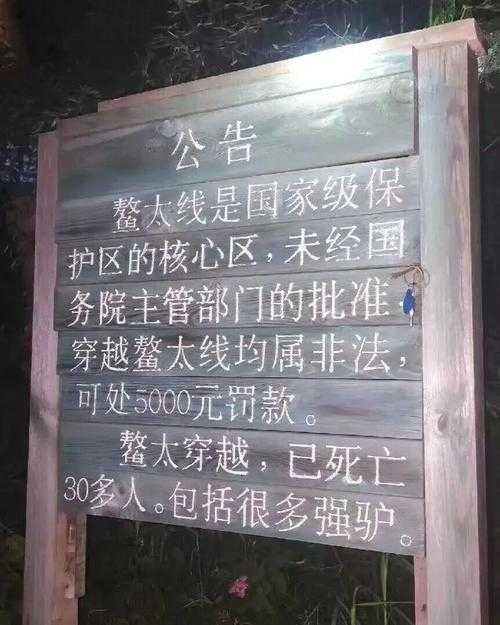 【31省份多点散发，凤山县新增15例暴露防控盲区】