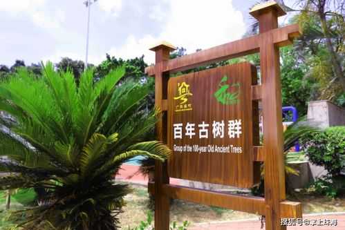 珠海斗门零感染的秘密：岭南水乡筑起的天然屏障