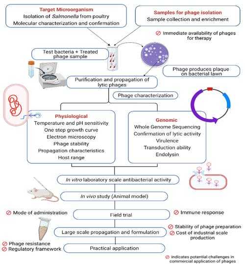 新冠变异株分级诊疗体系的演变与实践2020-2022年