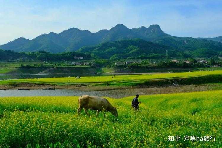 边境小城的防控困局：施甸县疫情为何三度复燃？