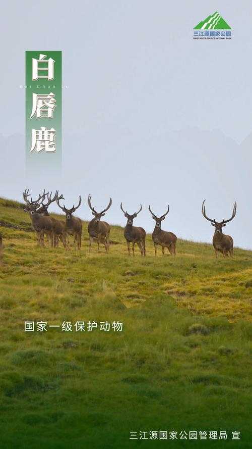 高原腹地的防控密网：大姚县2022年零星病例背后的地理密码