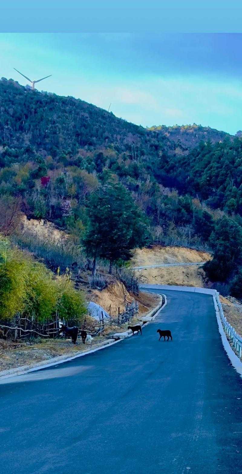 【31省份多点散发，云南剑川为何单日新增突破5例？】