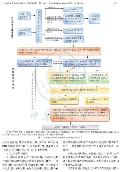 新冠疫情中XBB系病毒分级诊疗体系的构建与实践