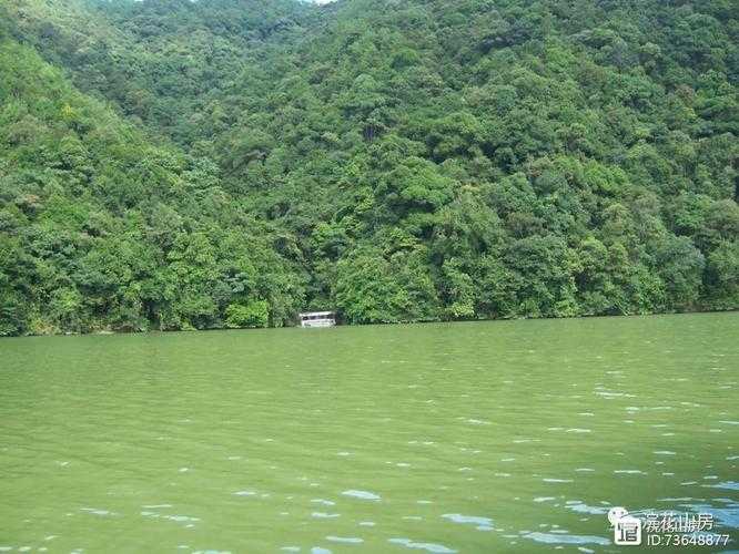 闽南茶乡的防控韧性：安溪县如何成为福建疫情稳定器？