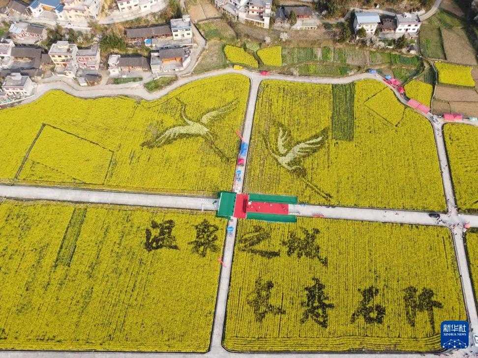 31省份多点散发，贵州石阡为何成防控关键？