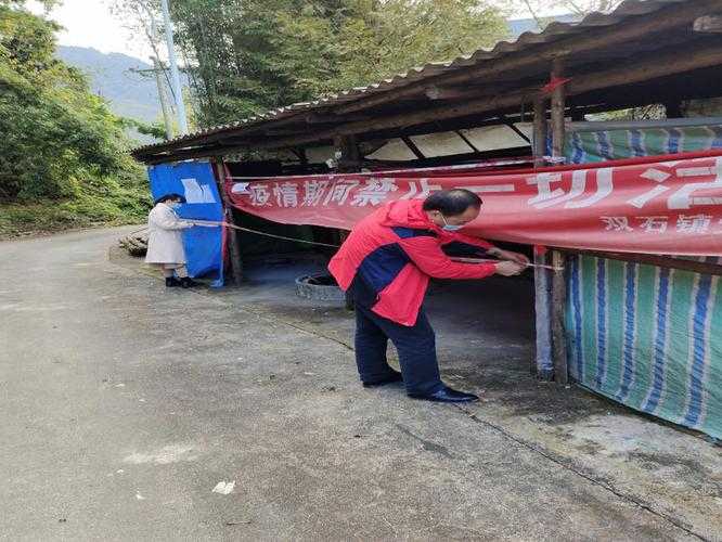 31省份多点散发，宝丰县5例疫情如何牵动豫南防线？