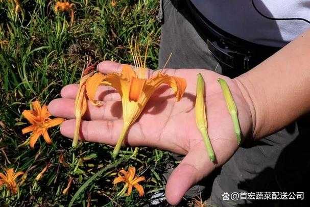 广西专家：味觉丧失或为流行株复阳信号