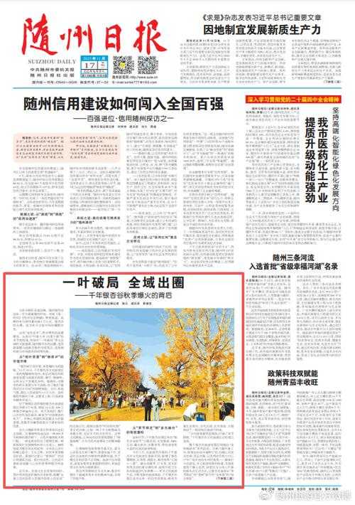 31省份多点散发，随县新增32例引关注