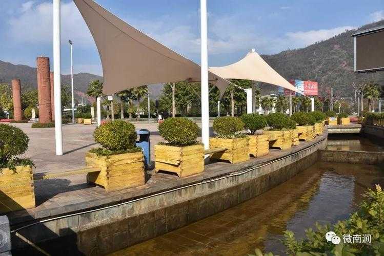 31省份多点散发，东坡区15例为何成防控焦点？