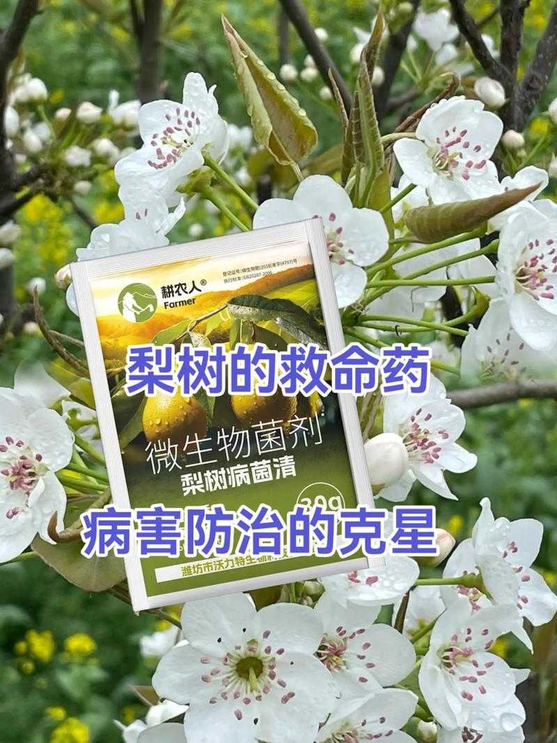 31省份多点散发，吉林梨树7例为何成防控焦点？
